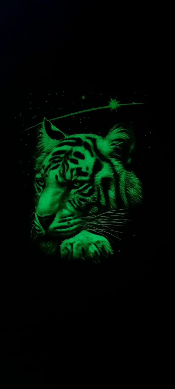 картинка Футболка светящиеся в темноте Тигр от магазина LutchShop.ru