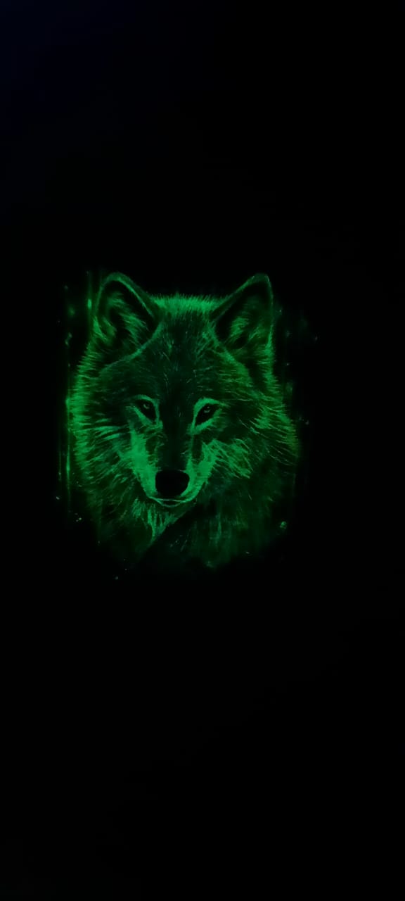 картинка Футболка светящиеся в темноте Волк от магазина LutchShop.ru