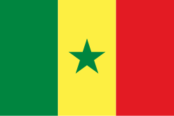 картинка Флаг Сенегала 90см на 140см от магазина LutchShop.ru